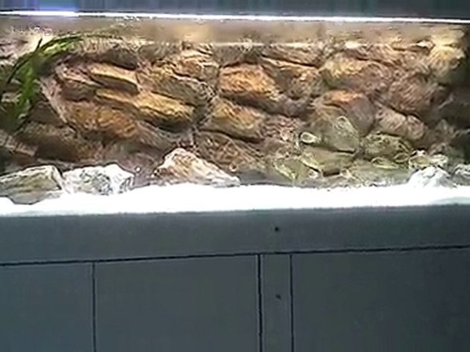 Video0034