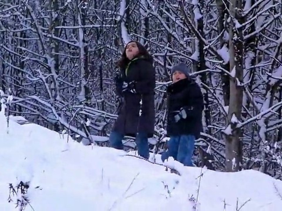 foret divx
