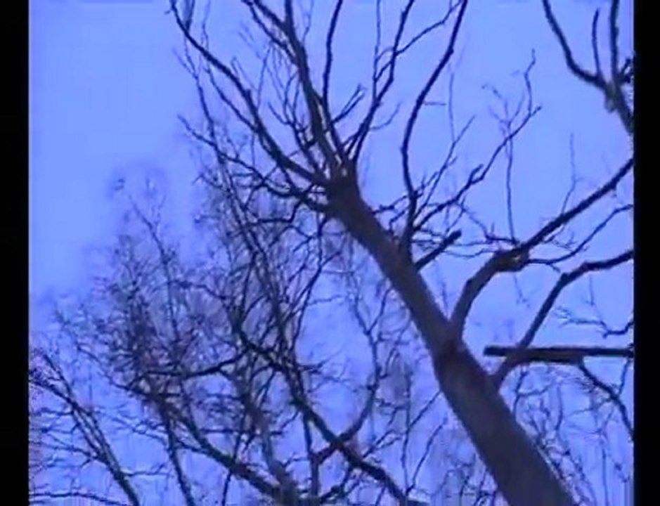 De som går med rumpan bar