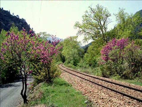 ADANA RESİMLERİ-1-İRFAN VURAL(irfan-vural@hotmail.com)