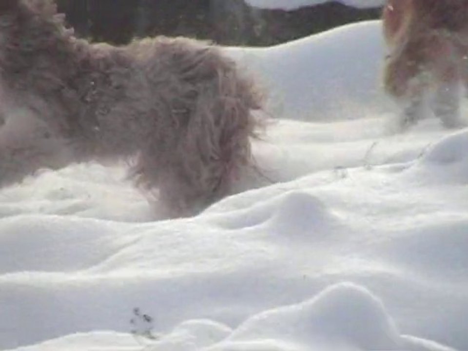 Sonnaille & Bourniquelle