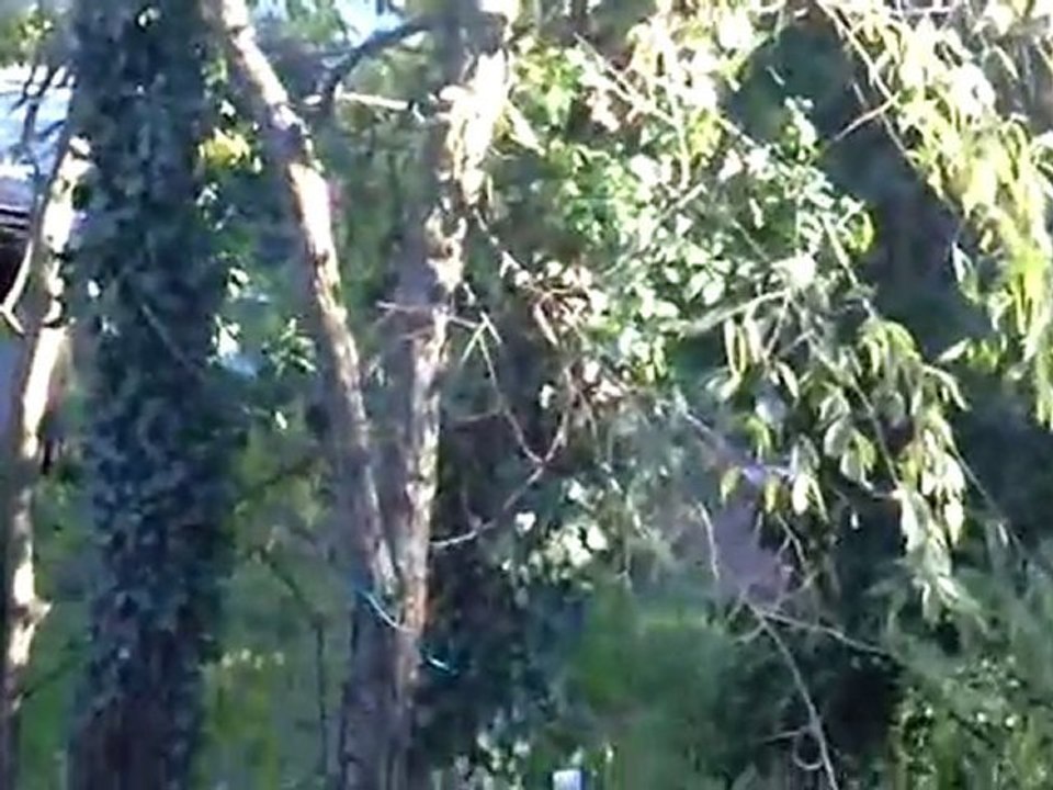 airsoft sur Le Pouzin