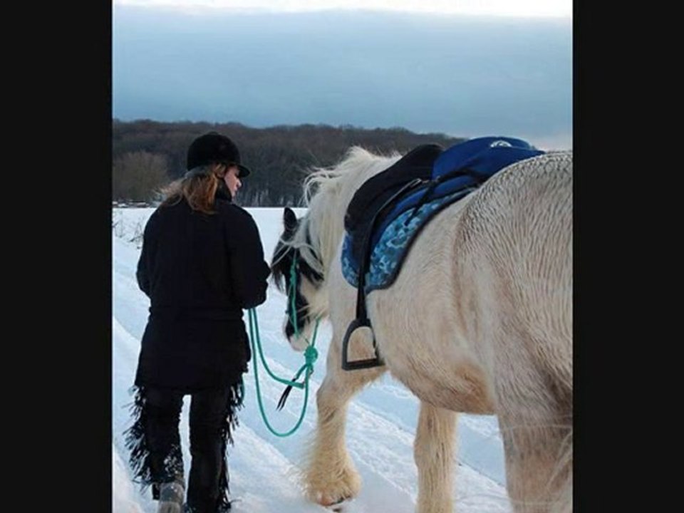 le 19 décembre 2010 : dans le monde de Narnia