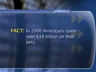 Trends In Dog Fashion : Do you think dog fashion is just a passing trend?