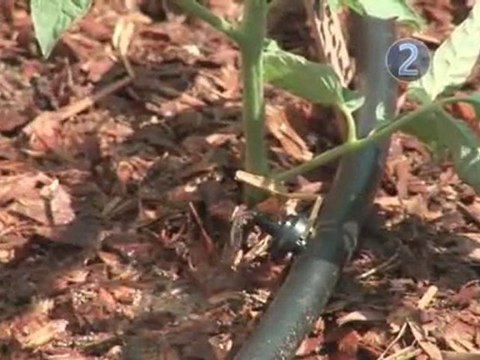 How To Install A Multi-Drip Irrigation System