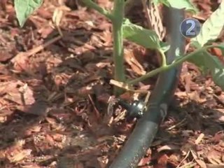 How To Install A Multi-Drip Irrigation System