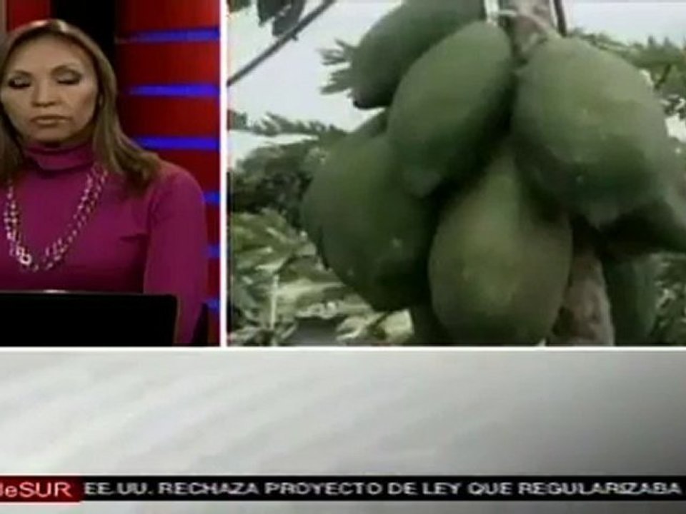 Intervención de latifundios dignifica a campesinos (dirigente)