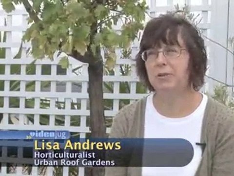 Planning : Do I need planning permission for a roof terrace?