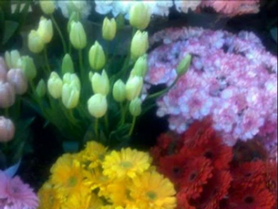 seni  cok seviyorum   cengiz  kurtoglu