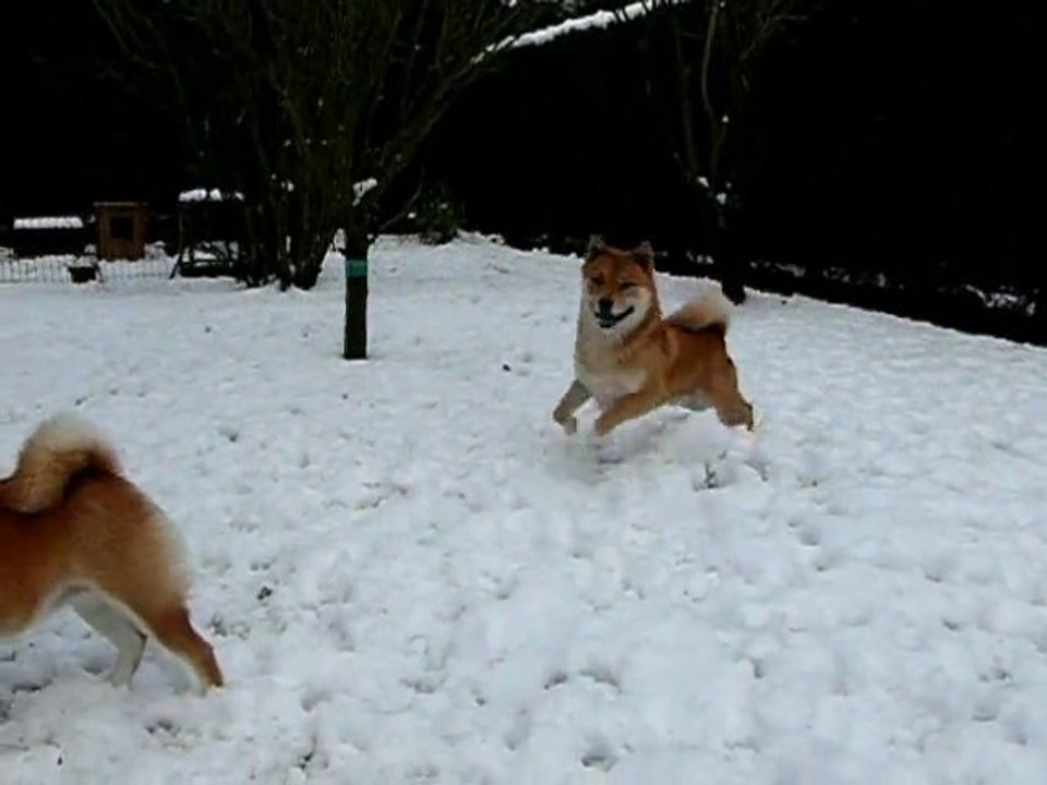 Balle de neige