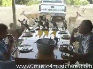 Dejeuner_chevreuils_cg