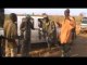 Chasse battue en brousse petit gibier Sénégal