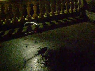 de nuit atterissage violent