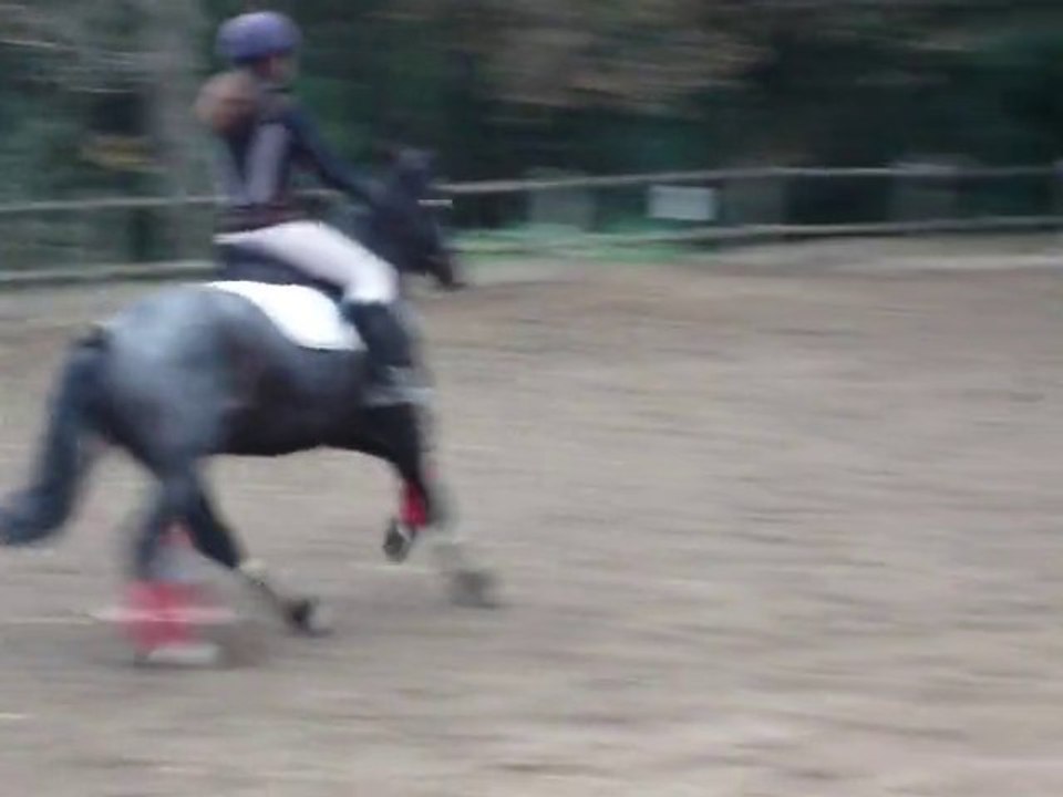 Claire en reining