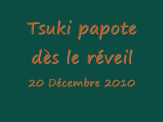 Tsuki 20 Dec 2010