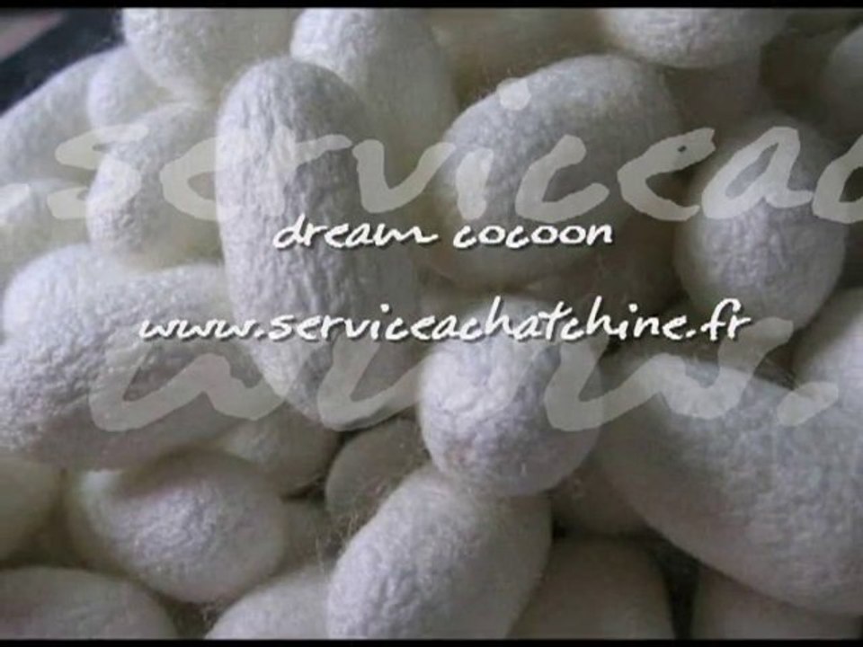 couette soie, couette en soie : www.serviceachatchine.fr