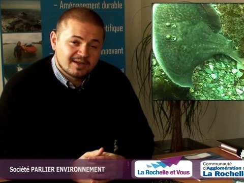 PARLIER ENVIRONNEMENT - EXPERTISE ENVIRONNEMENTALE ECOLOGIE
