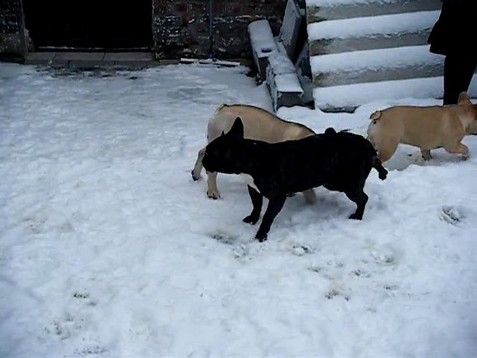 les boulis dans la neige