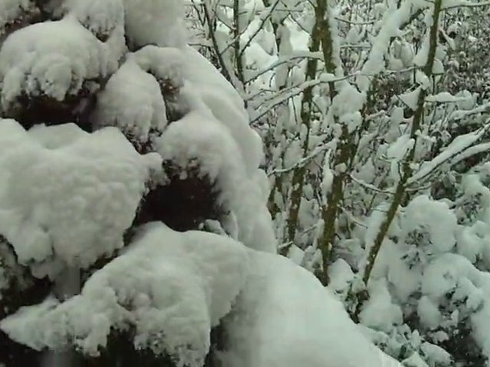 NEIGE 191210