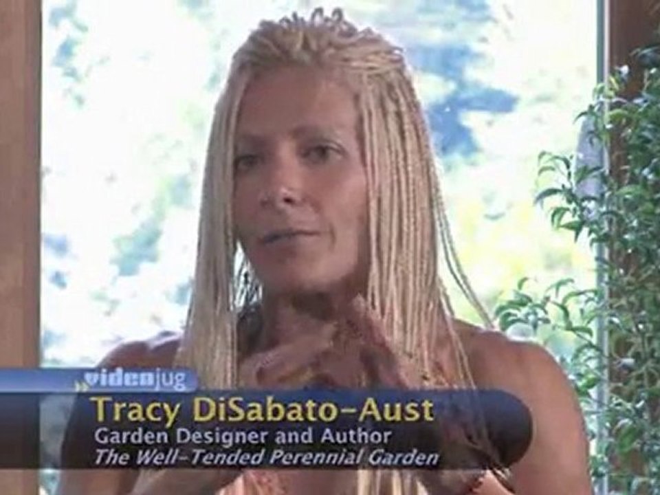 Dividing Perennials : How do I know a perennial needs dividing?