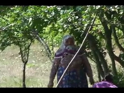 PİRİ KÖYÜ SAYDAŞ MAHALLESİ