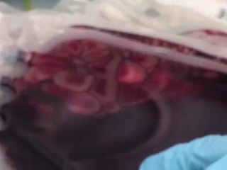 ¡EN ESTE BANCO NO ENCONTRARÁS DINERO!