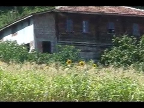 PİRİ KÖYÜ SAYDAŞ MAHALLESİ