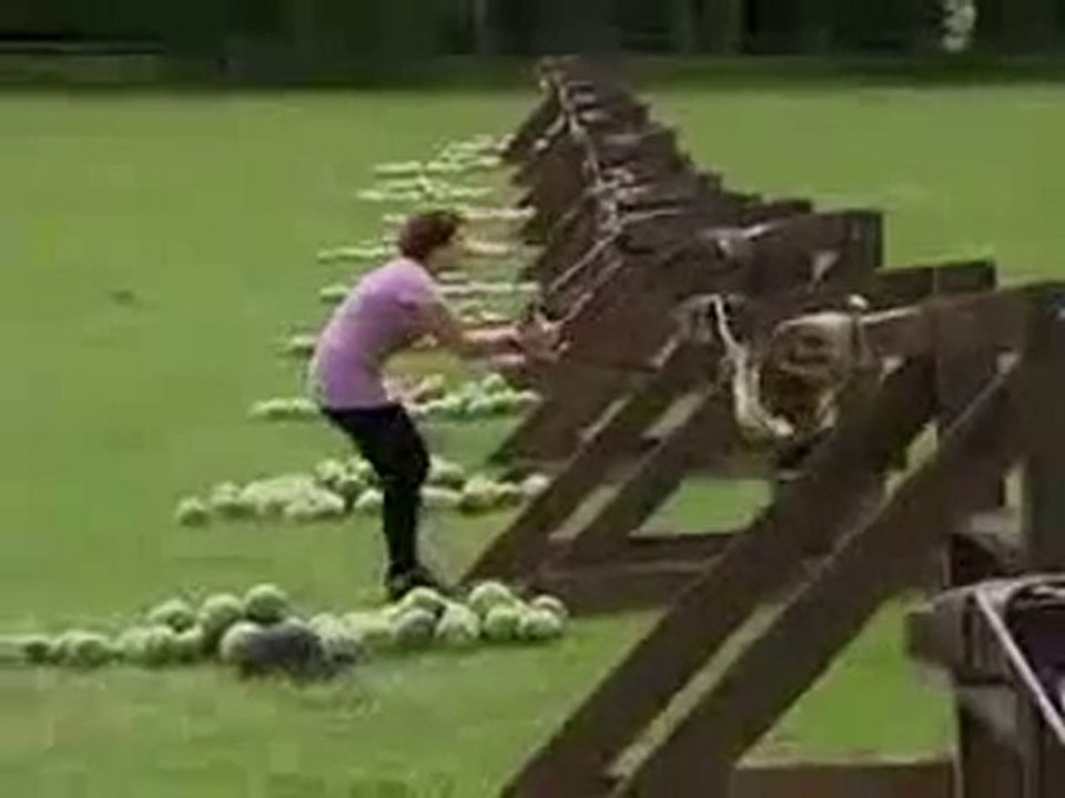 0041 - Owned par un Melon dans sa Gueule