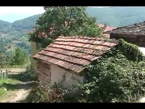 PİRİ KÖYÜ SAYDAŞ MAHALLESİ