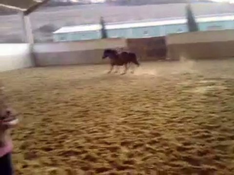 Nirvana au saut en liberté !