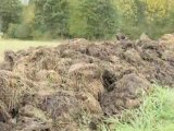 Improving Garden Soil : What is 'composted manure'?
