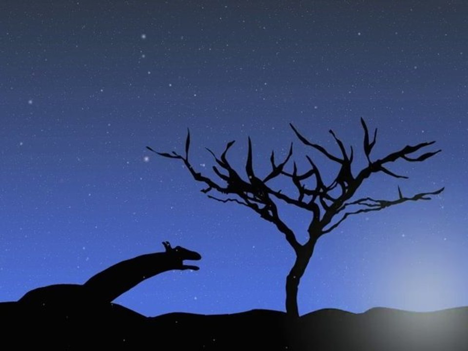 Joyeux Noël et Bonne Annee 2011à Méribel et Courchevel