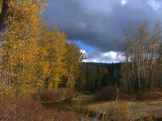 Andy Blueman - Riding Through The Morning Mist