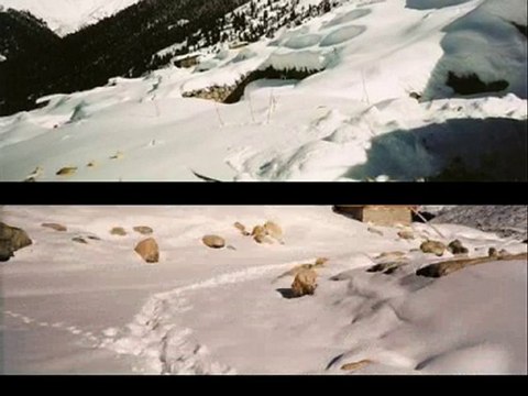 kasım ayında -aşağı -yukarı kavrun- kavrun.tr.gg