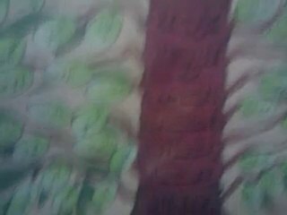 عرض شجرة اسماء رسول الله المفهرسة لكتاب الموفى