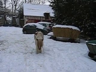 sido neige  21.12.2010 009