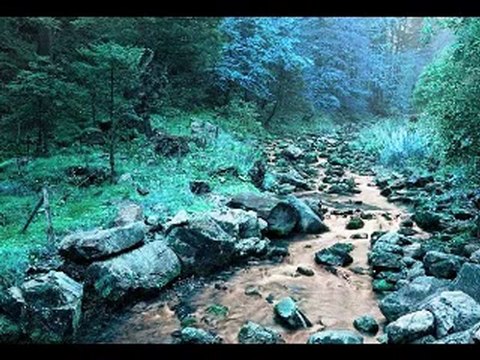 Mihemed Arif Cizrawî ay delal