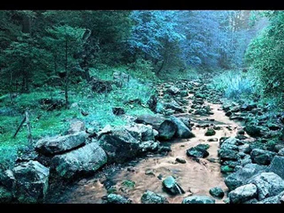 Mihemed Arif Cizrawî ay delal