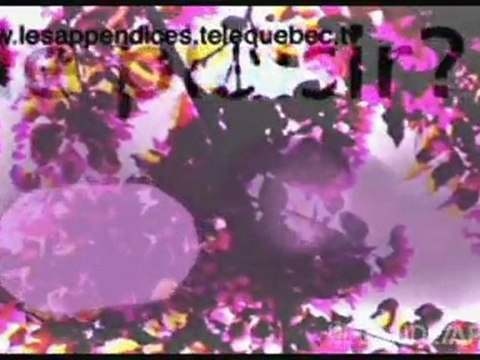 Bande à part Extatique: rencontre avec les Appendices