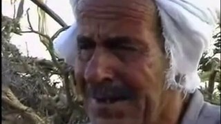 Katil İsrail, Filistinli Çiftcilerin Ağaçlarını Söktüler