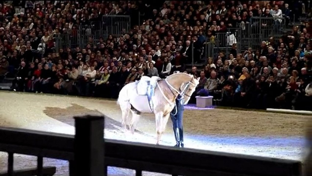 Cadre Noir De Saumur