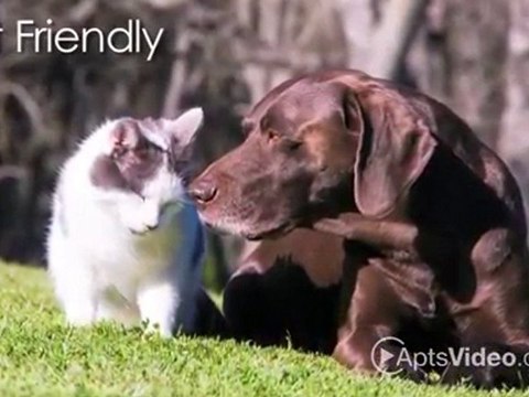 Pepperhill Apartments in North Charleston, SC - ForRent.com