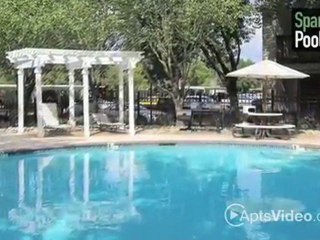 Oak Ridge Apartments in Austin, TX - ForRent.com