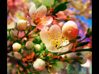 Candan Erçetin-Bahar