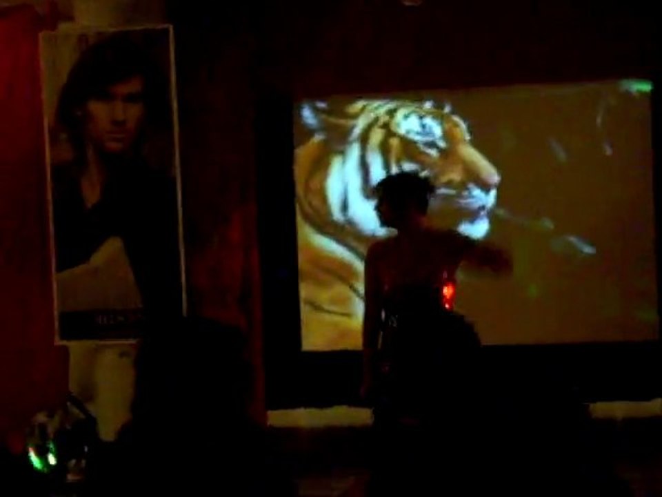 eye of the tiger par Margaux  soirée afp