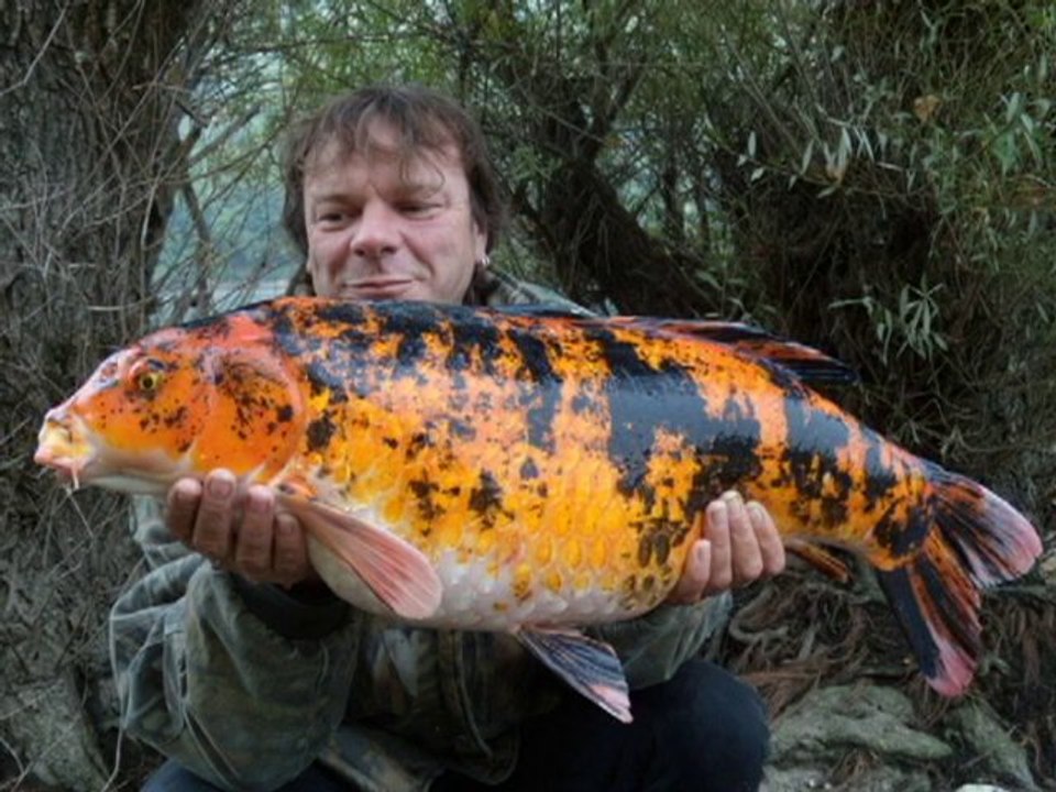 Enduro carpe 2011 - Bande annonce