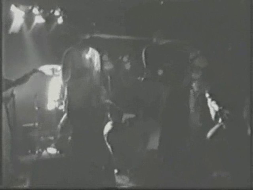 DSS LIVE GIBUS