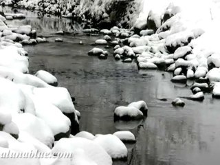 Stock Video - HD Stock Footage - Winter 01 clip 12