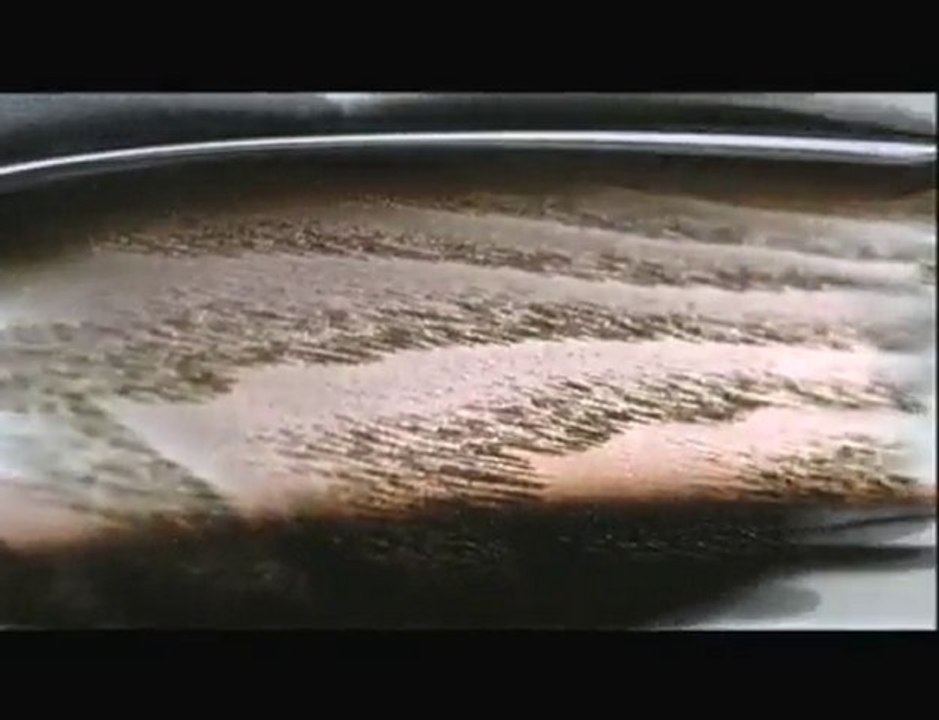 2011 Infiniti M - Inspired Luxury