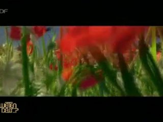 Bill Kaulitz Wetten Dass Jan 20, 2007 English Subs Part 1